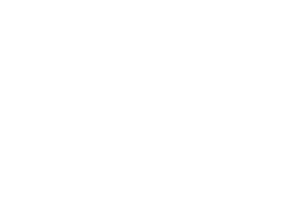 Dayz