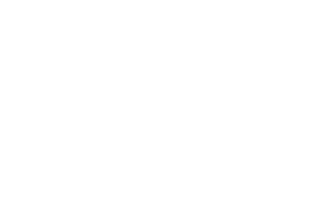State of decay 2